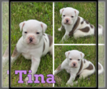Image preview for Ad Listing. Nickname: Tina