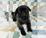 Image preview for Ad Listing. Nickname: Faith