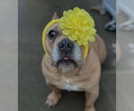 Small #2 Breeder Profile image