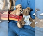 Image preview for Ad Listing. Nickname: Bentley