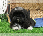 Image preview for Ad Listing. Nickname: Charcoal