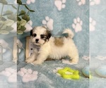 Small #3 Mal-Shi