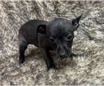 Image preview for Ad Listing. Nickname: Midnight