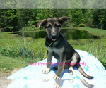 Image preview for Ad Listing. Nickname: Campfire Nights