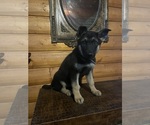 Small #2 German Shepherd Dog