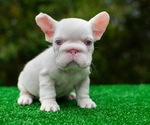 Image preview for Ad Listing. Nickname: ASAP