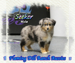 Image preview for Ad Listing. Nickname: Seeker