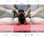Puppy 1 Pink Bow Doberman Pinscher