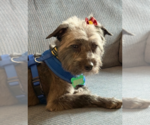 Small #2 Breeder Profile image