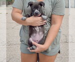 Small #2 Labsky