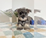 Image preview for Ad Listing. Nickname: Scout
