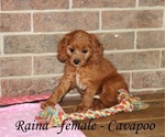 Image preview for Ad Listing. Nickname: Raina