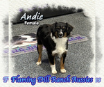 Image preview for Ad Listing. Nickname: Andie