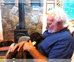 Small Photo #4 Mutt Puppy For Sale in Hinton, WV, USA