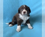 Image preview for Ad Listing. Nickname: Adeline