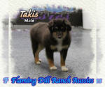 Image preview for Ad Listing. Nickname: Takis