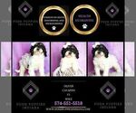 Small Photo #31 Cavapoo (Miniature) Puppy For Sale in WARSAW, IN, USA