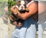 Image preview for Ad Listing. Nickname: Tootsie
