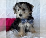 Image preview for Ad Listing. Nickname: LUKE