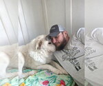 Small #1 Great Pyrenees Mix