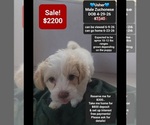 Image preview for Ad Listing. Nickname: Usher
