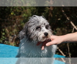Image preview for Ad Listing. Nickname: Frost
