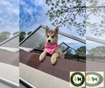 Image preview for Ad Listing. Nickname: Misty