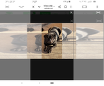 Small Photo #1 Pug Puppy For Sale in HANNA CITY, IL, USA