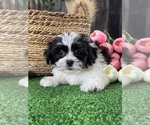 Small #4 La-Chon