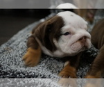 Small #4 Bulldog