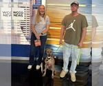 Small #8 Bullypit