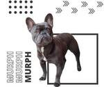 Small Photo #1 French Bulldog Puppy For Sale in SPRING, TX, USA