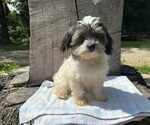 Image preview for Ad Listing. Nickname: Charlie
