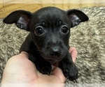 Image preview for Ad Listing. Nickname: Emily