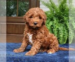 Image preview for Ad Listing. Nickname: Howard