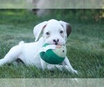 Image preview for Ad Listing. Nickname: Edward