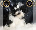 Image preview for Ad Listing. Nickname: Belle