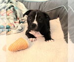 Small #3 Breeder Profile image