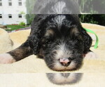 Image preview for Ad Listing. Nickname: GIRL 5