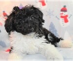 Image preview for Ad Listing. Nickname: Lucy Mae