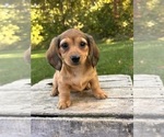 Image preview for Ad Listing. Nickname: Mabeline
