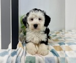 Image preview for Ad Listing. Nickname: Blake