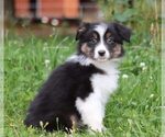 Image preview for Ad Listing. Nickname: Black Tri male7