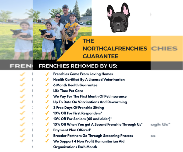 Medium Photo #6 French Bulldog Puppy For Sale in SACRAMENTO, CA, USA