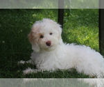 Image preview for Ad Listing. Nickname: Bunny