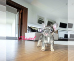 Image preview for Ad Listing. Nickname: Chanel
