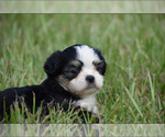 Image preview for Ad Listing. Nickname: Gday