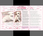 Sasha - Female Mutt Dog for Adoption - Small photo