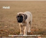Image preview for Ad Listing. Nickname: Heidi