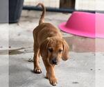 Small #2 Labbe